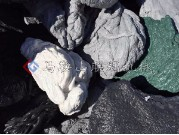 膠頭機(jī)頭料撕碎